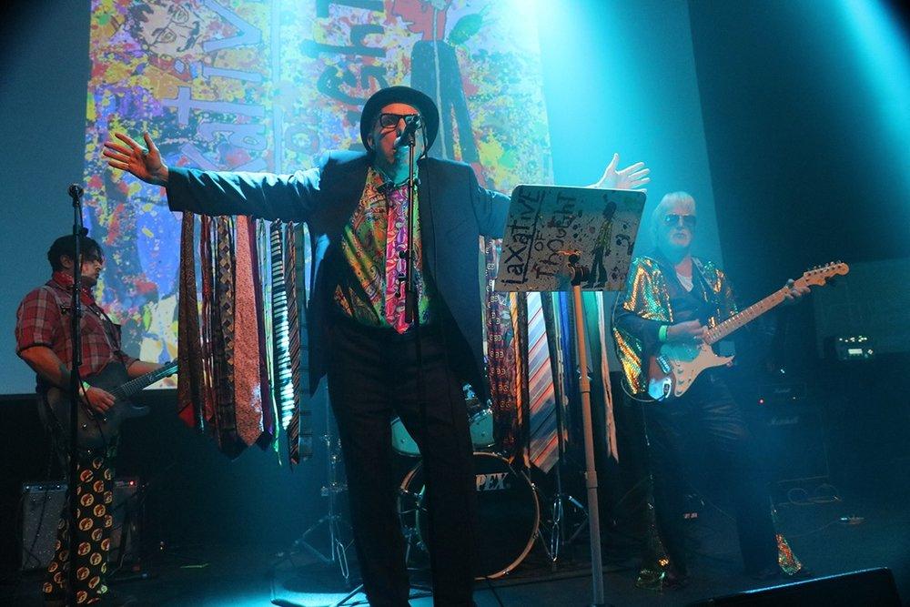 Canary Wolf Canary Wolf